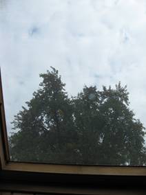 Wohnen Atelier Fenster mit Baum Blick